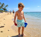 whales swim shorts